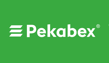 Pekabex - wykład